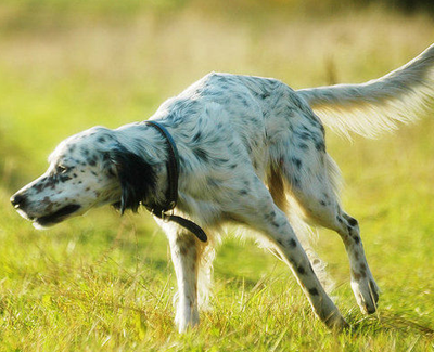 undefined{{pos:,w:,h:}}