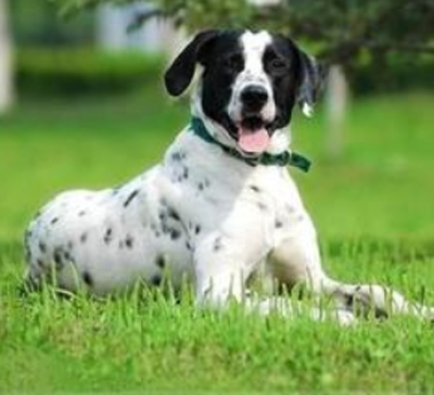 undefined{{pos:,w:,h:}}