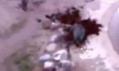 大象身体爆炸 瞬间粉碎化成血水