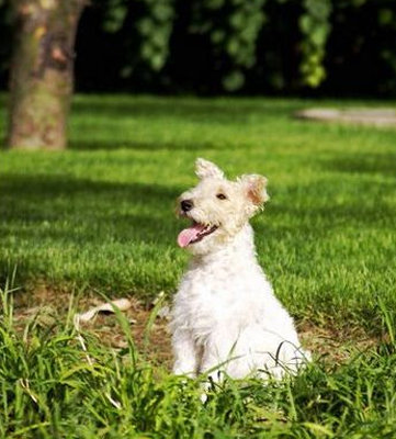 undefined{{pos:,w:,h:}}