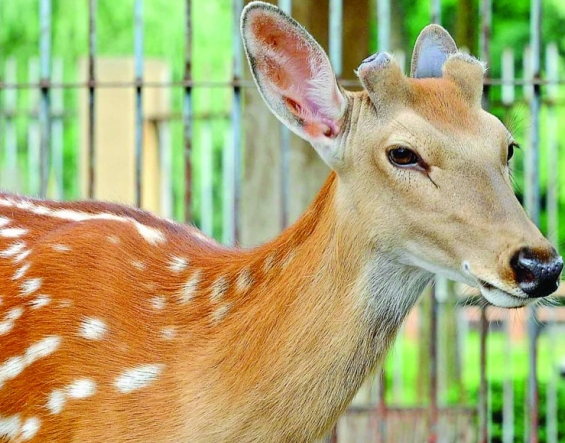 undefined{{pos:,w:,h:}}