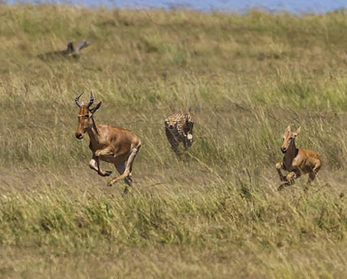 undefined{{pos:,w:,h:}}