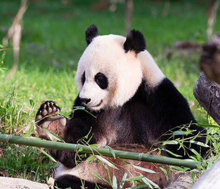 undefined{{pos:,w:,h:}}