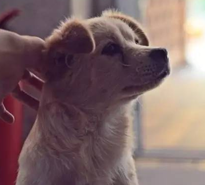 undefined{{pos:,w:,h:}}