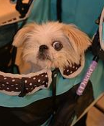 undefined{{pos:,w:,h:}}