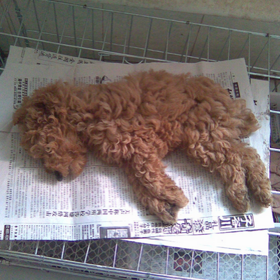 undefined{{pos:,w:,h:}}