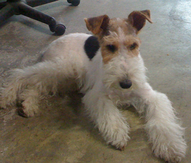 undefined{{pos:,w:,h:}}