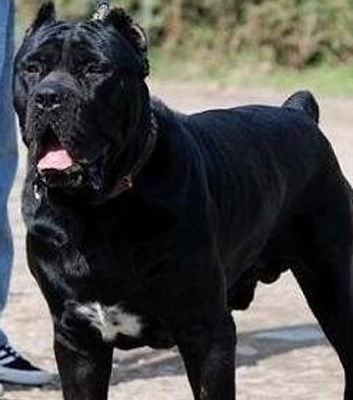 undefined{{pos:,w:,h:}}