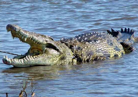 undefined{{pos:,w:,h:}}