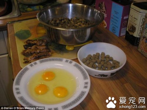 英国女子为养大丹犬向丈夫撒谎  小狗变两米巨犬