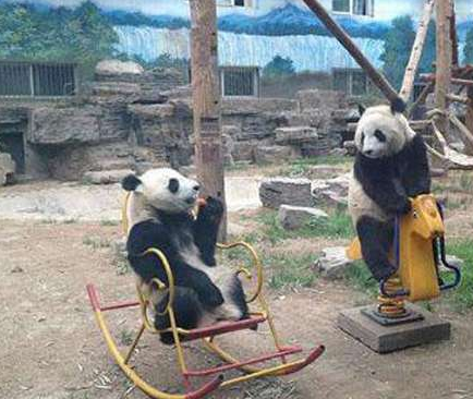 你那个好像好玩些，等下咱们换着玩哦