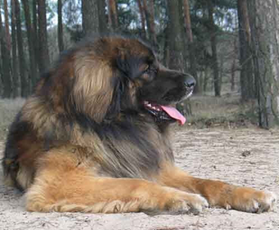 undefined{{pos:,w:,h:}}