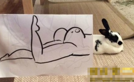  哎呀! 讨厌啦! 又偷拍人家!