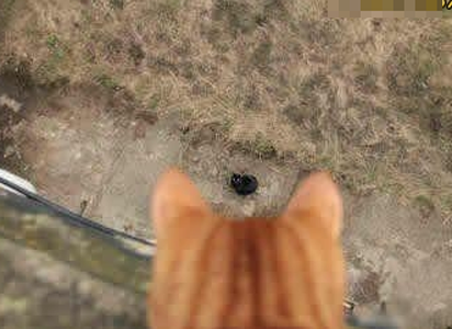 你回去吧，我妈说了你太黑了，咱俩不合适