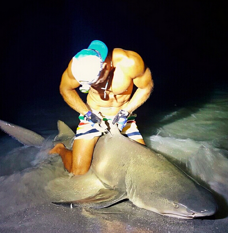 男子徒手抓鲨鱼后放生 呼吁人们保护鲨