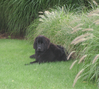 undefined{{pos:,w:,h:}}