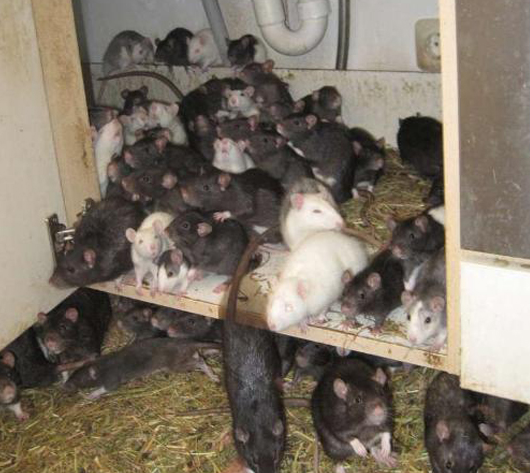 undefined{{pos:,w:,h:}}