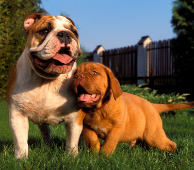 undefined{{pos:,w:,h:}}