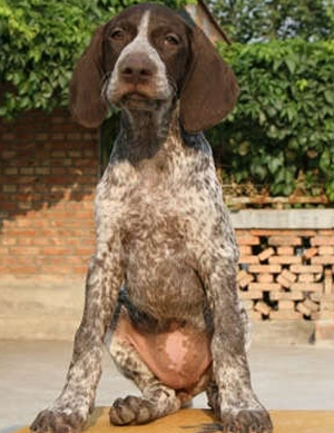 undefined{{pos:,w:,h:}}