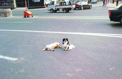 undefined{{pos:,w:,h:}}