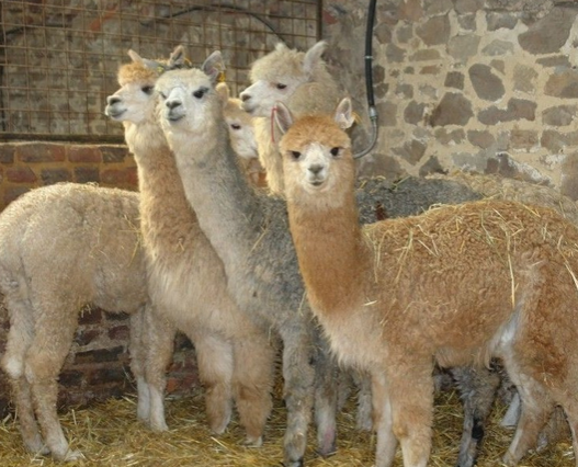 undefined{{pos:,w:,h:}}