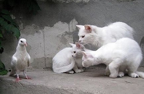 看什么看，没有见过美女吗