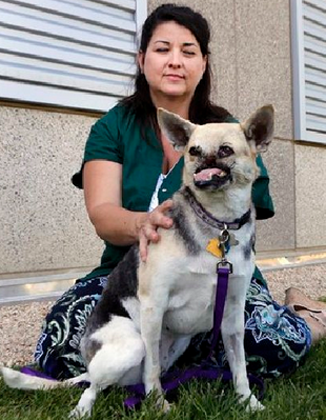 undefined{{pos:,w:,h:}}