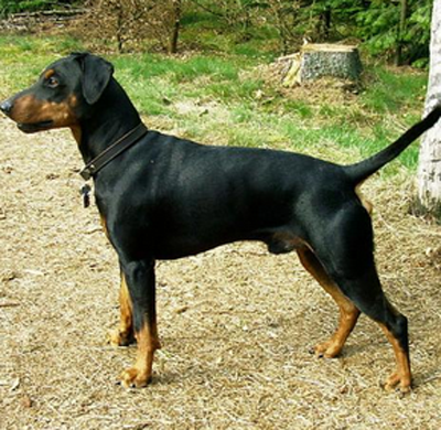 undefined{{pos:,w:,h:}}