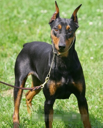 undefined{{pos:,w:,h:}}