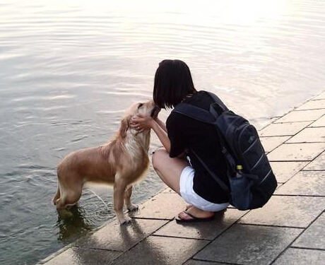 狗狗撒欢破坏绿地 广场提出“宠物禁止入内”