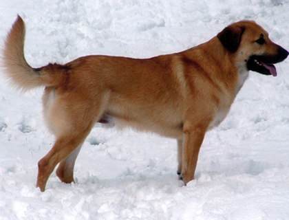 undefined{{pos:,w:,h:}}