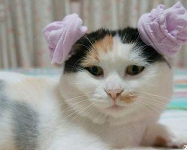 麻麻说只要扎上辫子我就是姑娘了