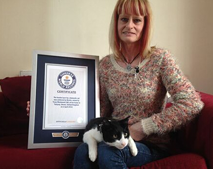 猫咪中葫芦大王 世界上呼噜声最大的猫咪