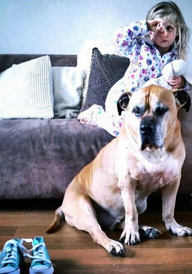 父亲拍下女儿与狗狗亲密瞬间照片 网友：好暖心