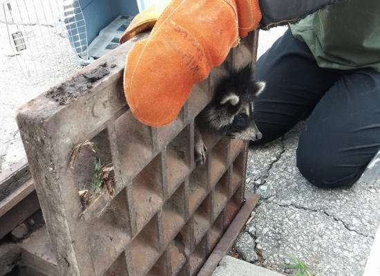 undefined{{pos:,w:,h:}}