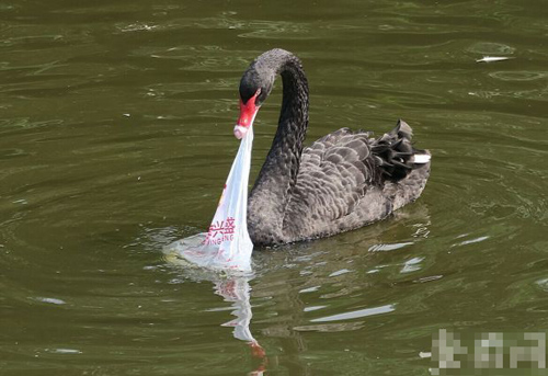 undefined{{pos:,w:,h:}}