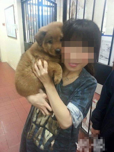 undefined{{pos:,w:,h:}}