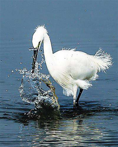 undefined{{pos:,w:,h:}}