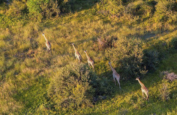 undefined{{pos:,w:,h:}}