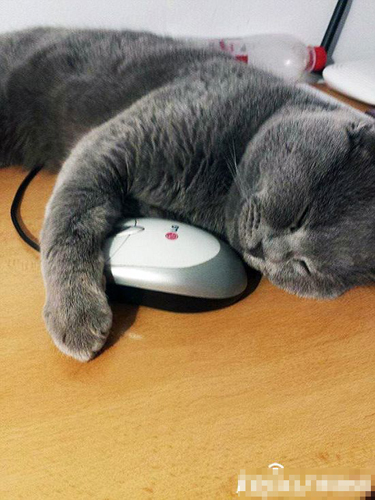 undefined{{pos:,w:,h:}}