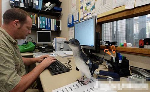 undefined{{pos:,w:,h:}}