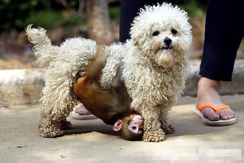 undefined{{pos:,w:,h:}}