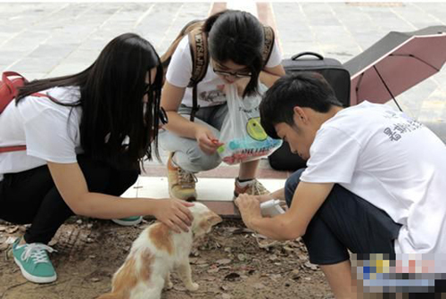 undefined{{pos:,w:,h:}}