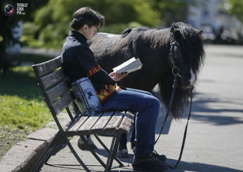 undefined{{pos:,w:,h:}}