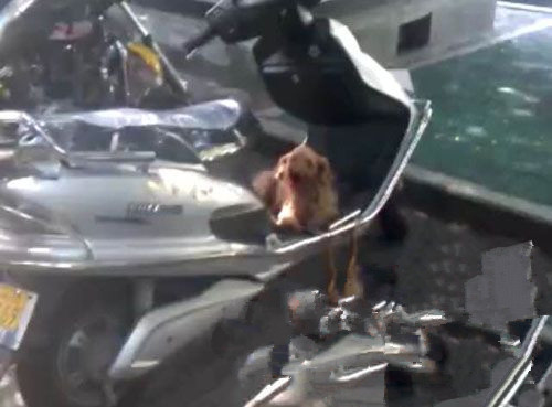 undefined{{pos:,w:,h:}}