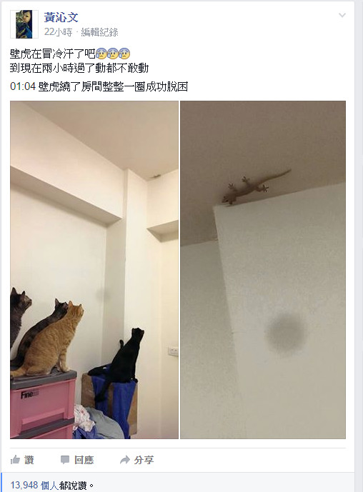 undefined{{pos:,w:,h:}}