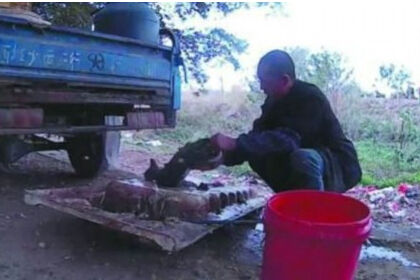 粗心主人狗狗丢路边光洁　好心人雨中撑伞