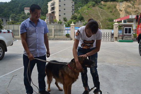 undefined{{pos:,w:,h:}}