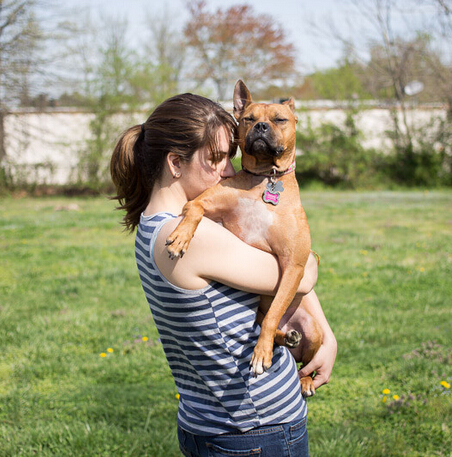 主人为相伴13年离世的狗狗写的诗 感动很多人