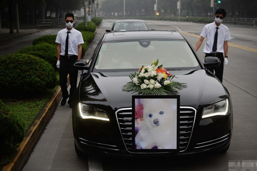 undefined{{pos:,w:,h:}}